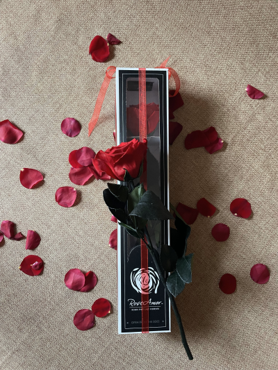 Everlasting Love - Celebrate the timeless beauty of love with this stunning preserved premium rose, elegantly presented in a sleek gift box.<br> The vibrant red rose symbolises passion and romance, making it the perfect token for Valentine's Day, anniversaries, or any occasion to express your devotion. <br> The exquisite packaging and lasting nature of the rose embody the enduring essence of true love.